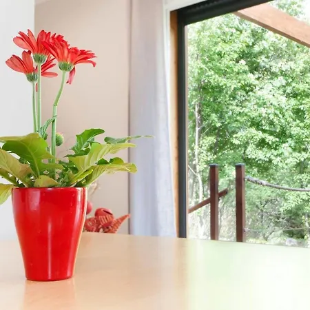 Casa de Férias With One Bedroom In Villediparaso With Furnished Terrace 18 Km From The Beach